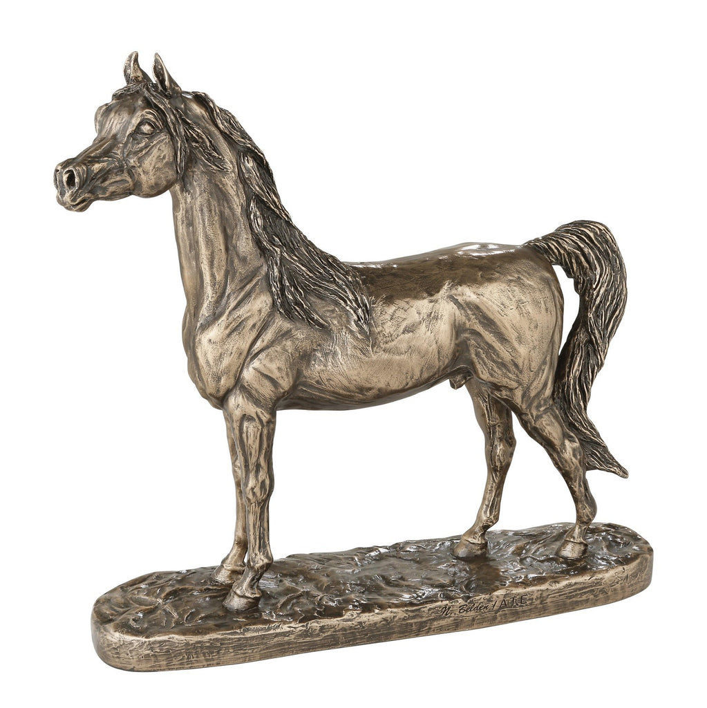 Arab Stallion Small Genesis Genesis, Horses Animals, €°¢‚
